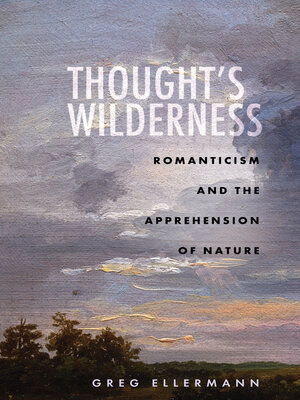 cover image of Thought's Wilderness